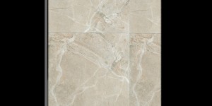 Voilàp Digital: Tile Essential Evo 55"_3